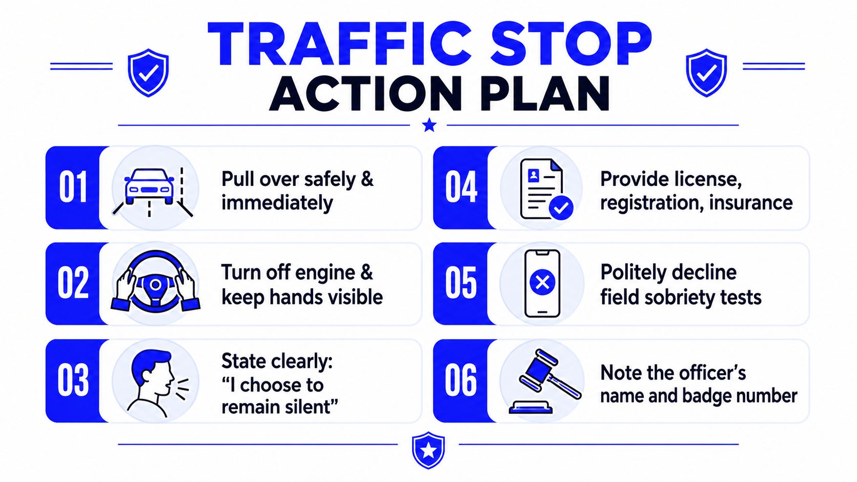 An infographic titled Traffic Stop Action Plan outlining six numbered steps for drivers during a police encounter.