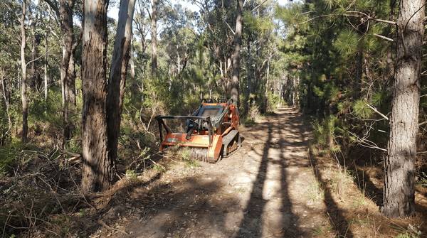 Posi-track on a forest access track, Noosa hinterland