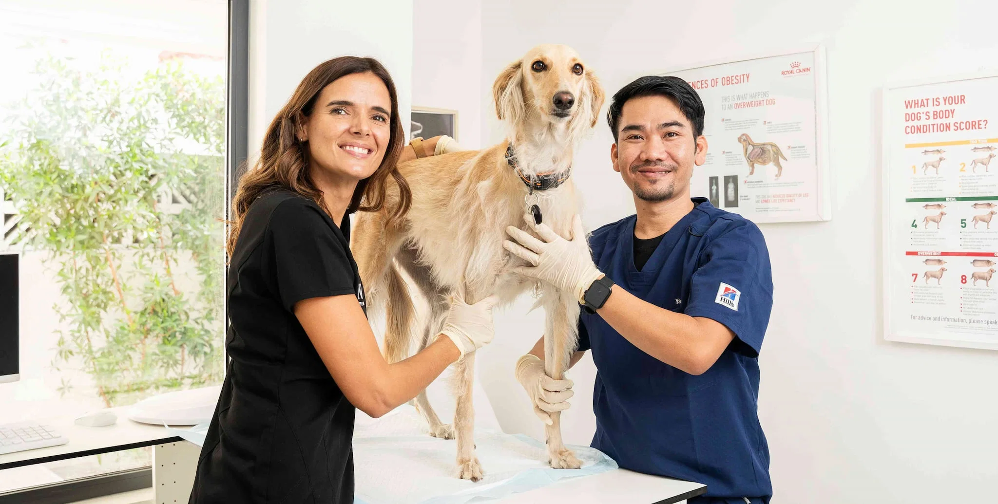 Parasite prevention for dogs at a veterinary clinic ensures long-term protection.