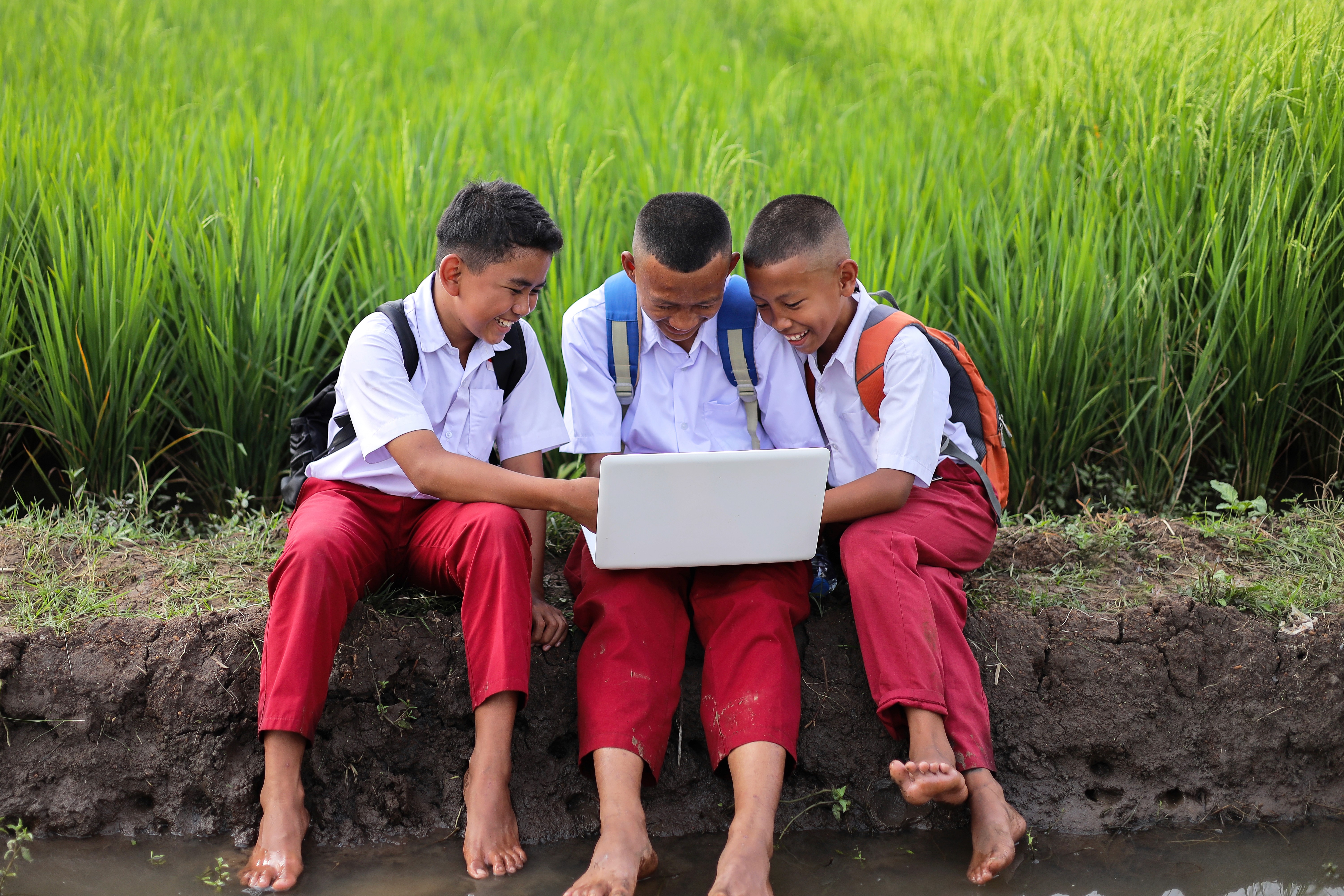 people sitting on chair in front of laptop computers