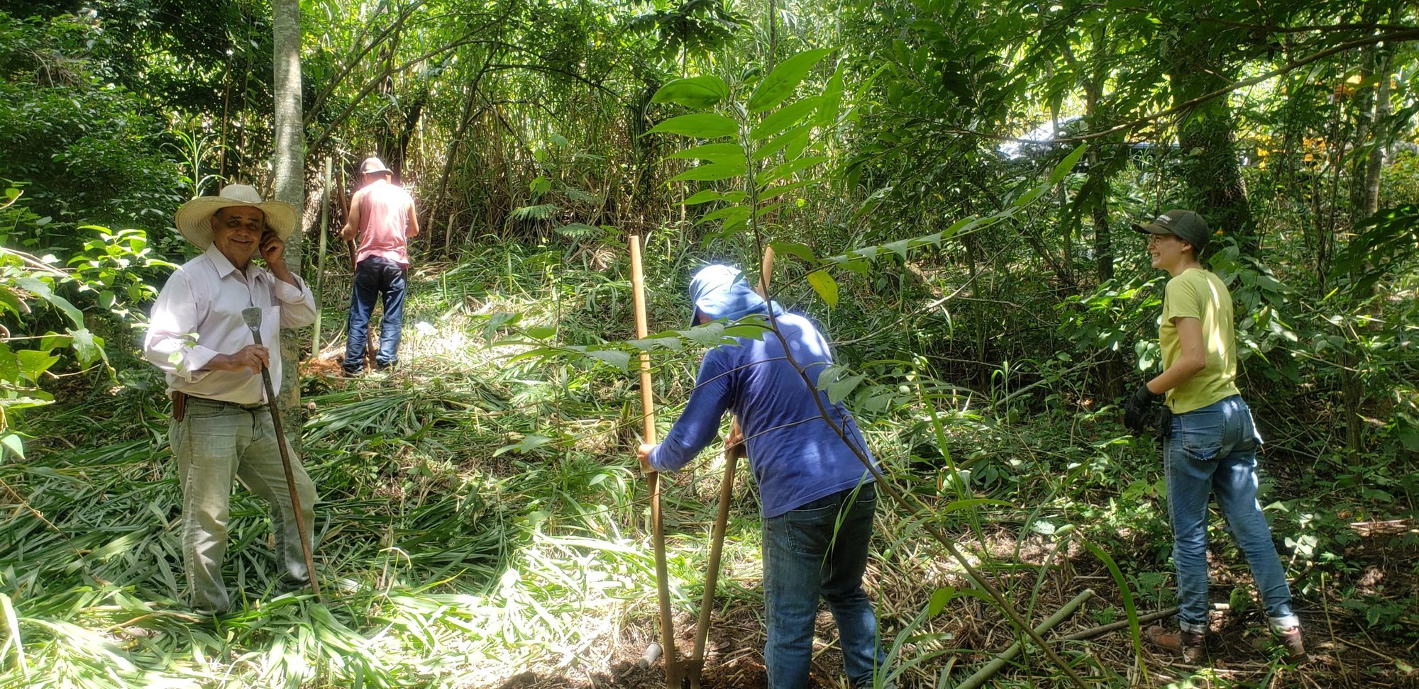 Alunos voluntários com ferramentas preparam o terreno para plantio de árvores na mata, em 2019