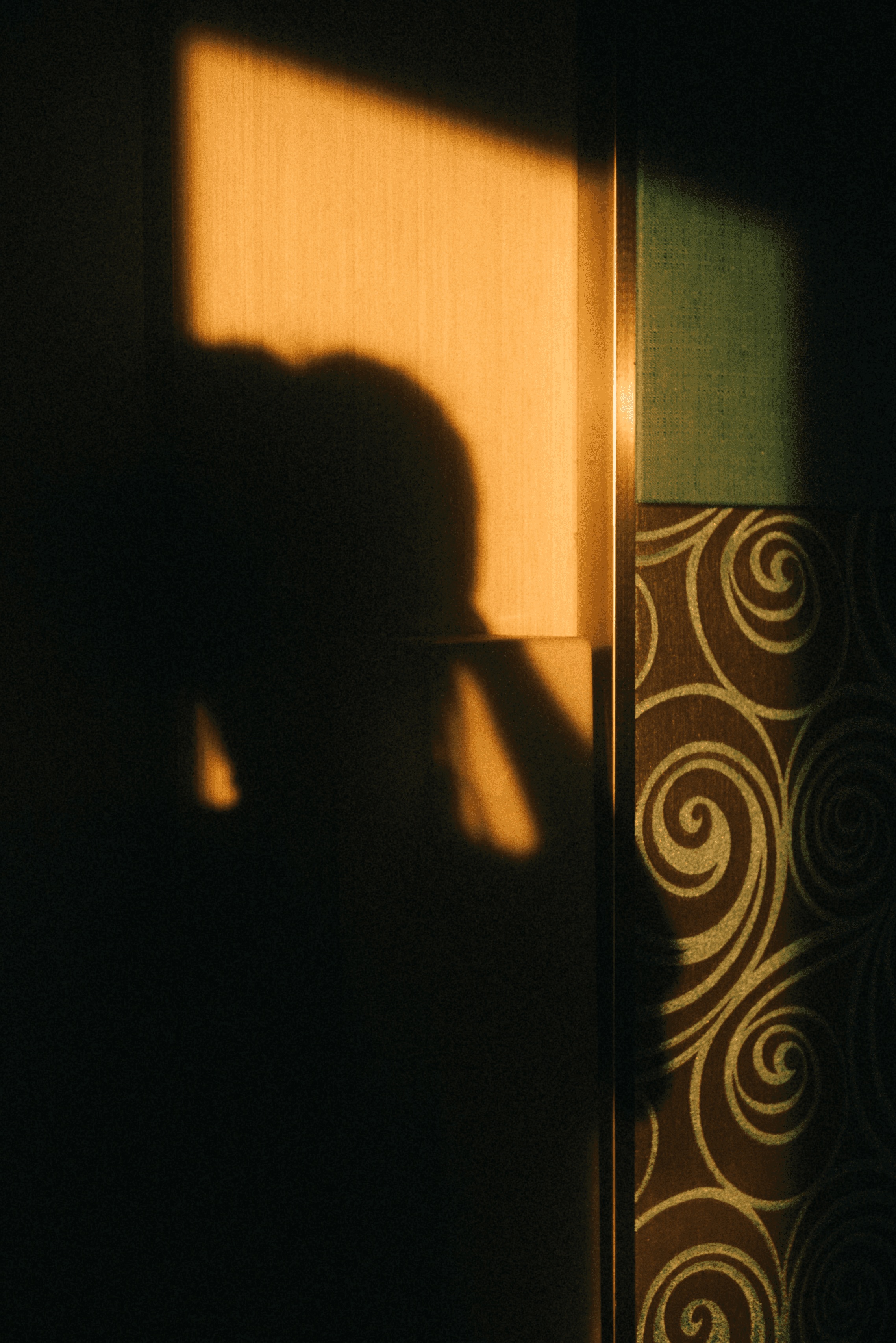 Moody shadow silhouette of a person cast on a warm sunlit wall with patterned wallpaper, artistic low light interior photography.