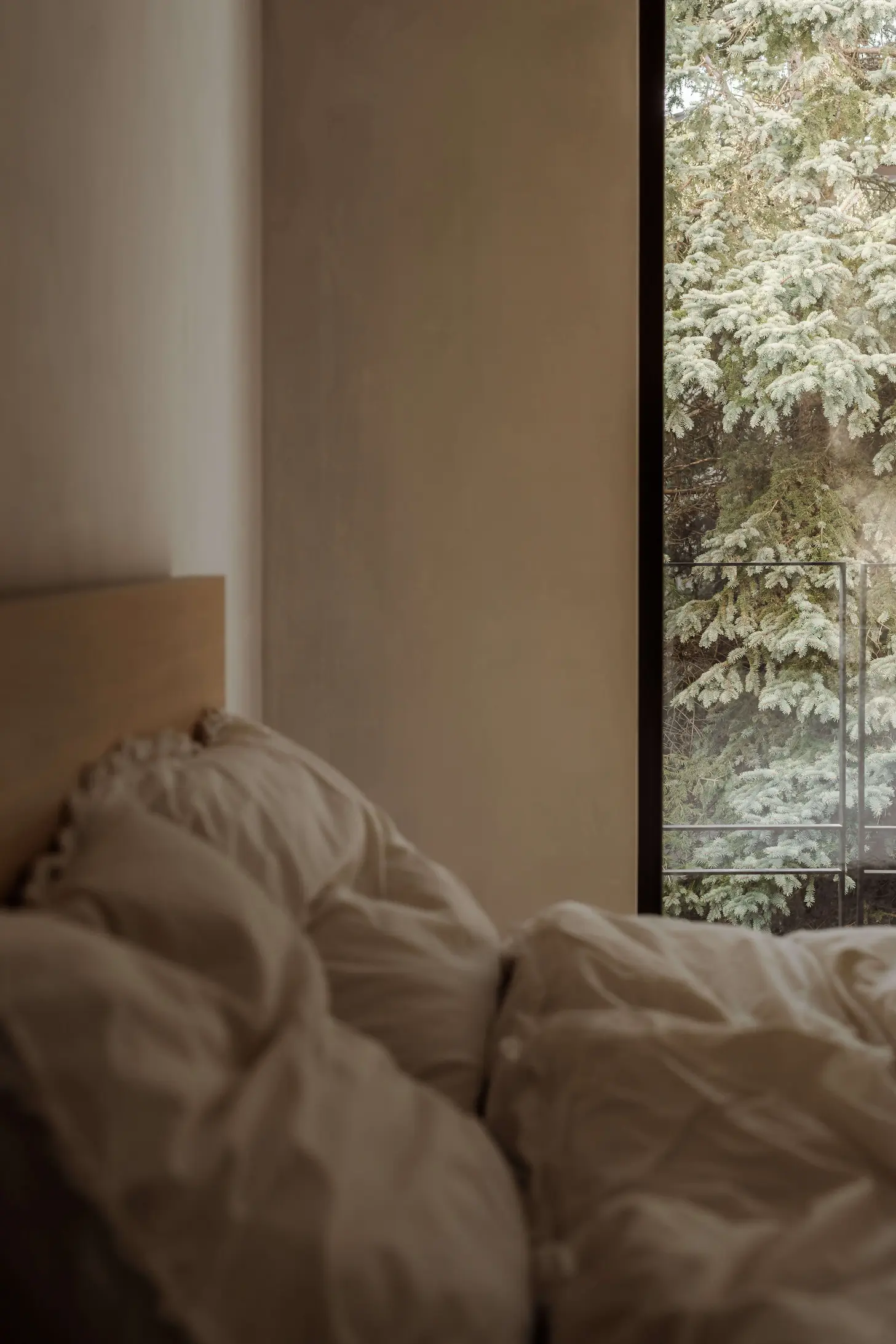 A soft bed next to the window