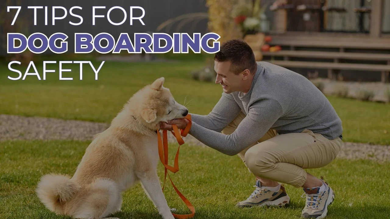 7 Tips for Dog Boarding Safety: Essential Tips for Pet Boarding