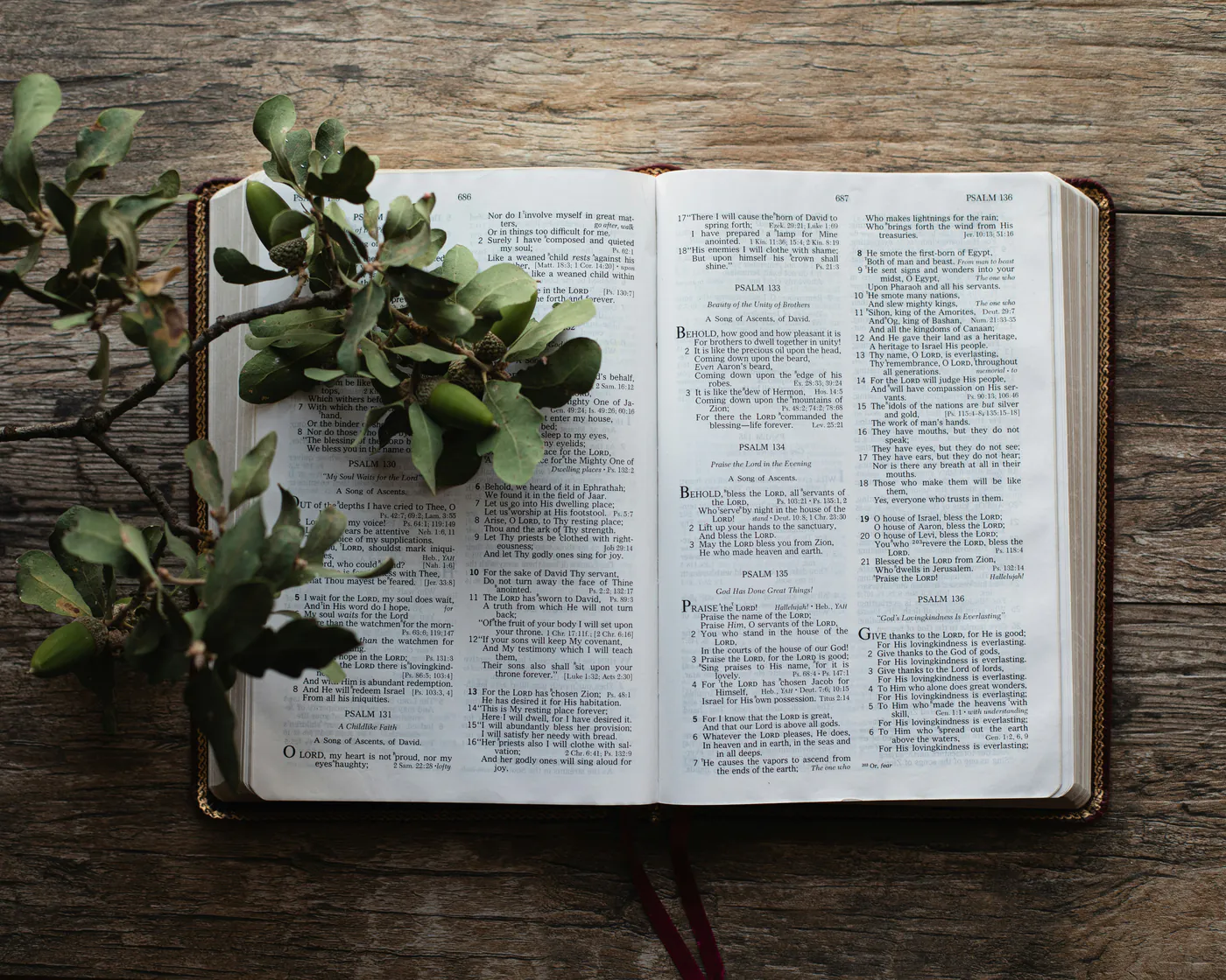 Bible Study
