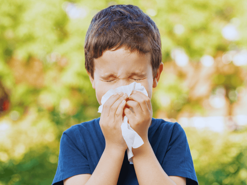 Eliminate allergens, pollen, hayfever from home and office with Blue Evolution Limatic UVC Carbon dy steam cleaner 