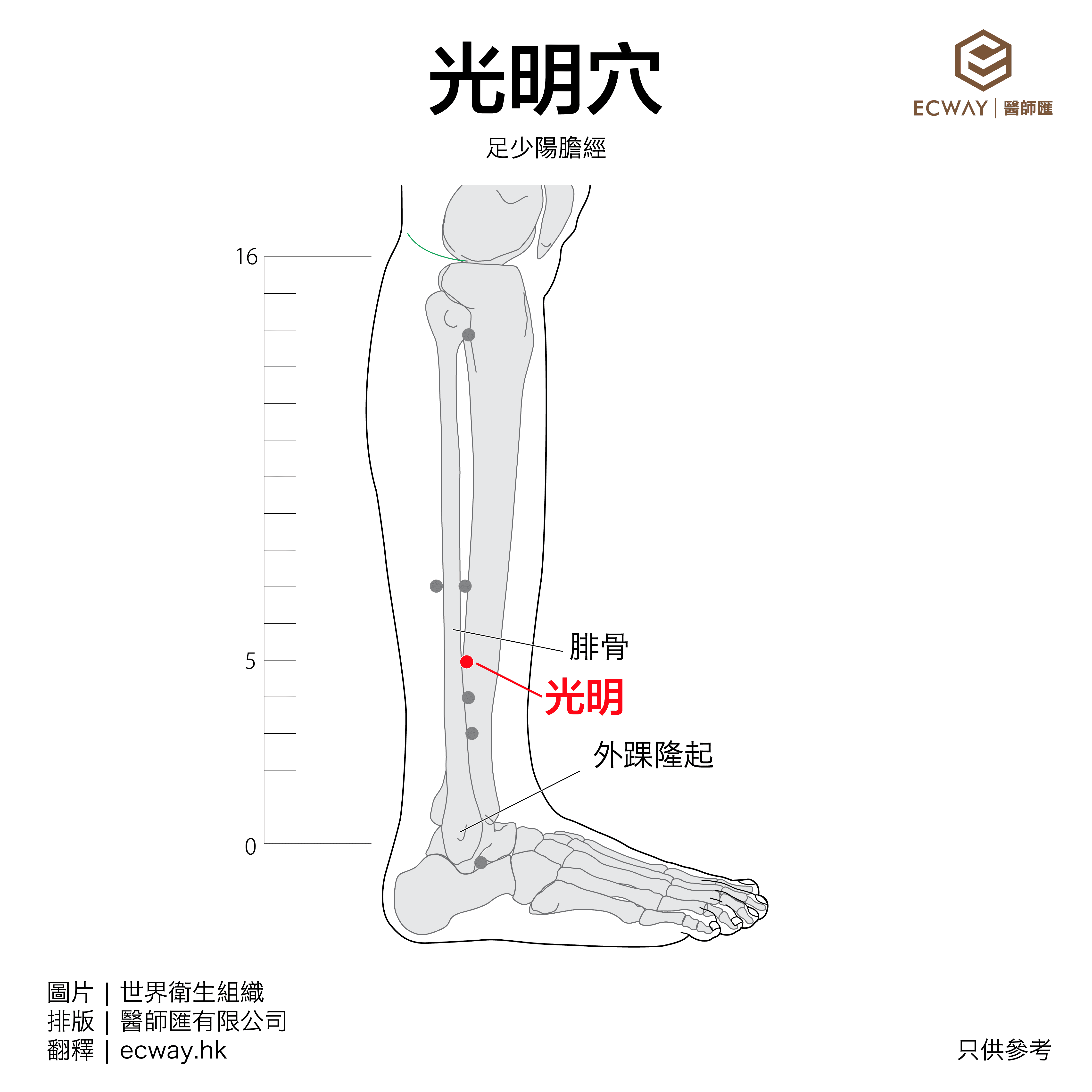 光明穴