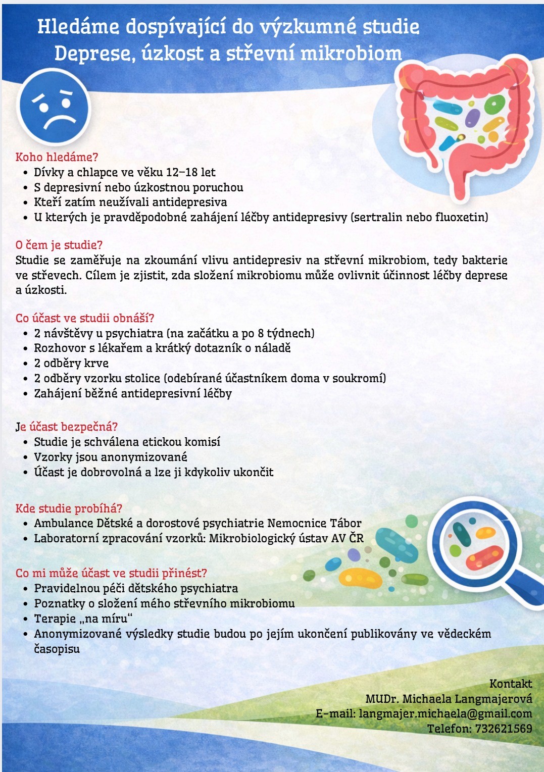 Společná adventní cesta s koňmi k živému betlému v Milevském klášteře – účastníci a kůň na lesní cestě s výhledem do krajiny. Akce Dětské psychiatrie s.r.o., 21. 12. 2025, putování s koňmi, duchovní a zážitkový program v přírodě pro děti i dospělé.