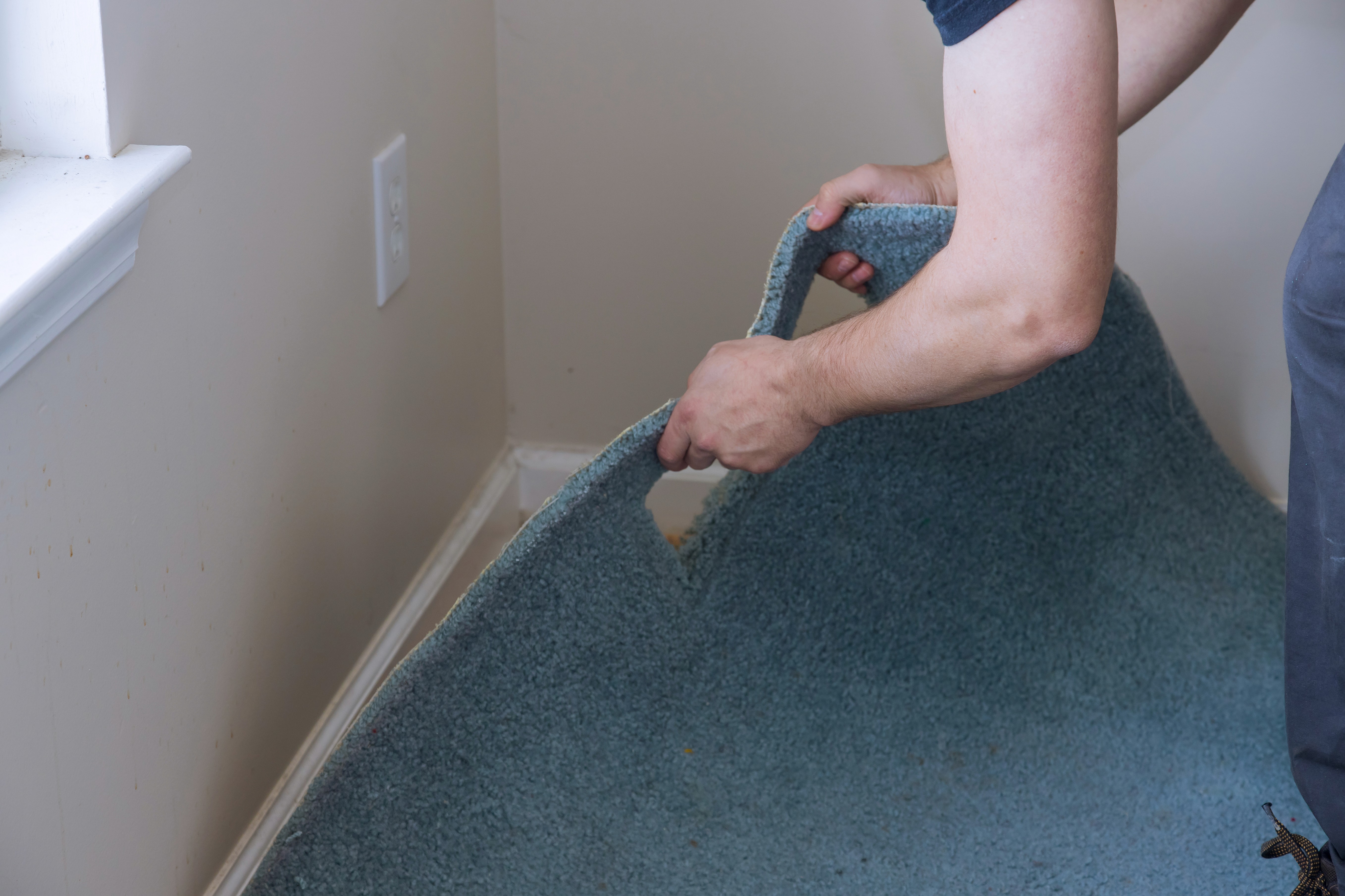 Old carpet being removed during a home upgrade, preparing the space for cleaner, low-maintenance hybrid flooring.