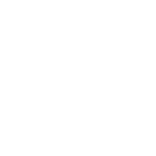 Project tag icon