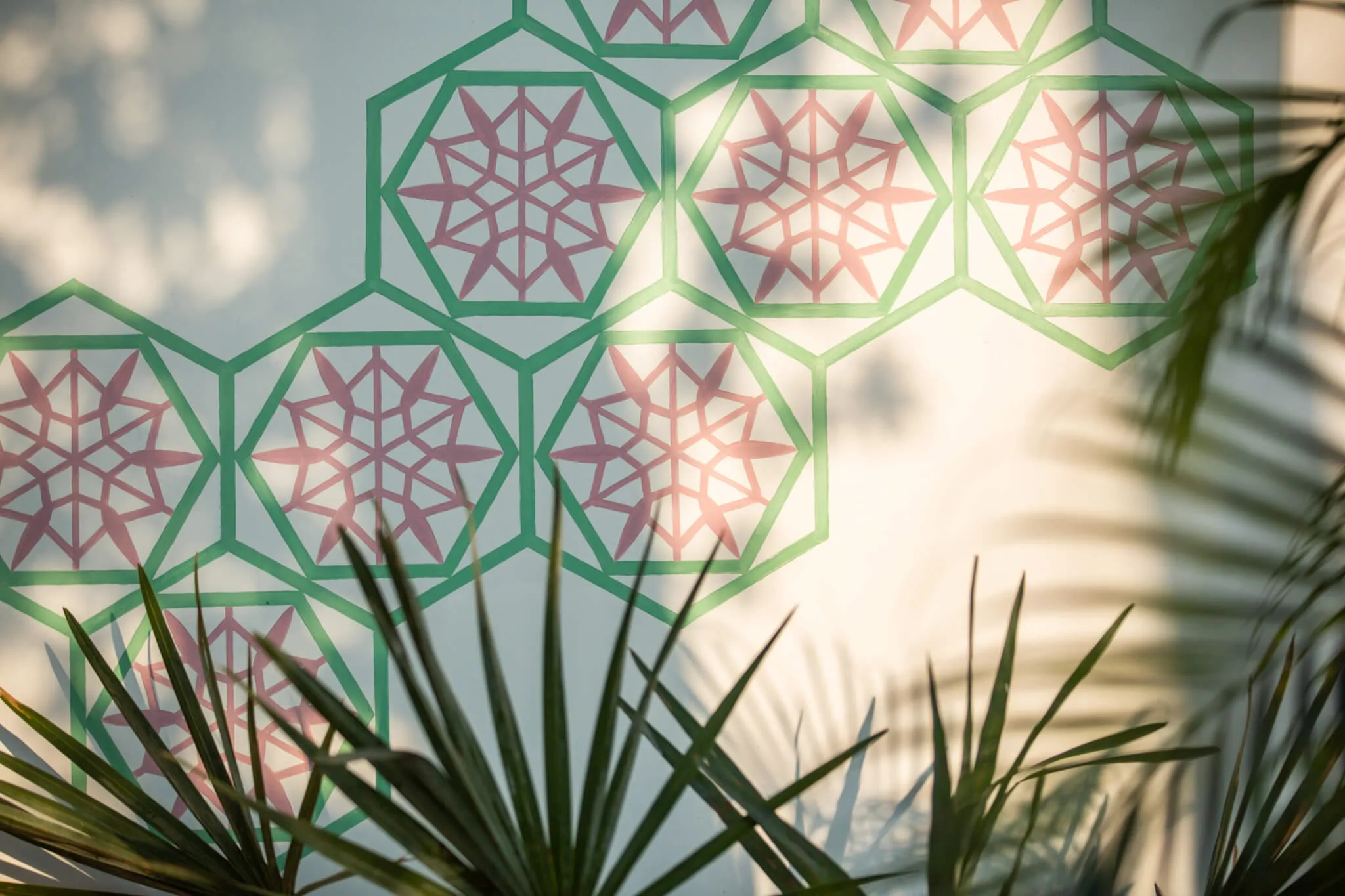 Sunlight through a pink-and-green jaali screen at Casa Jaali