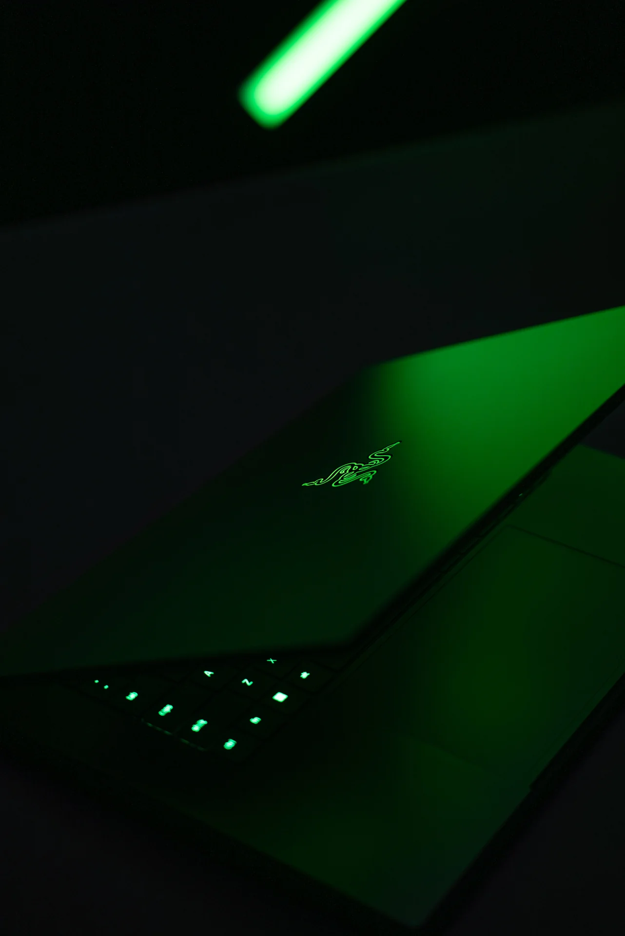 Razer · project photo 4