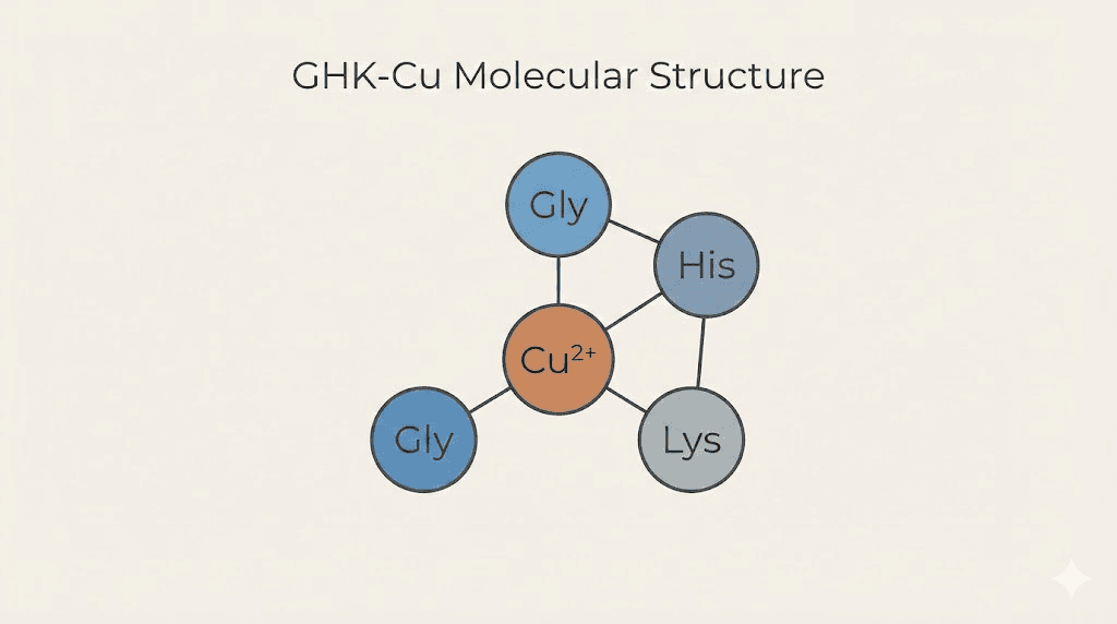 GHK-Cu copper peptide molecular structure showing copper ion binding