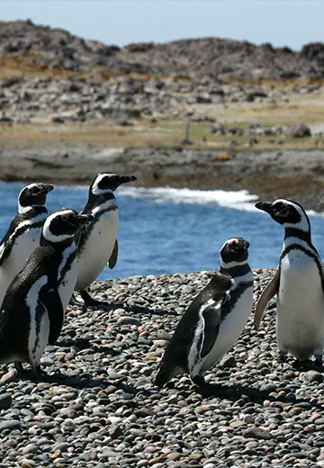 Grupo de viajantes posando em frente ao monumento Dakar no Salar de Uyuni, em paisagem de sal sob céu azul na Bolívia