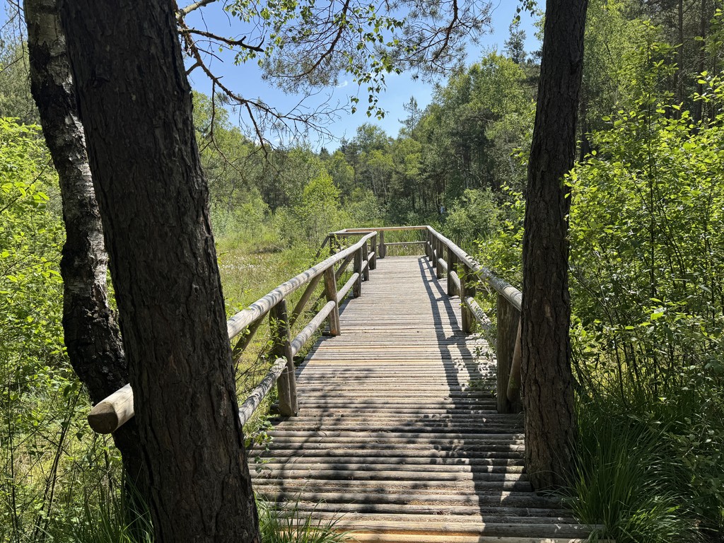 A wooden boardwalk leads through a lush green landscape under a partly cloudy sky.