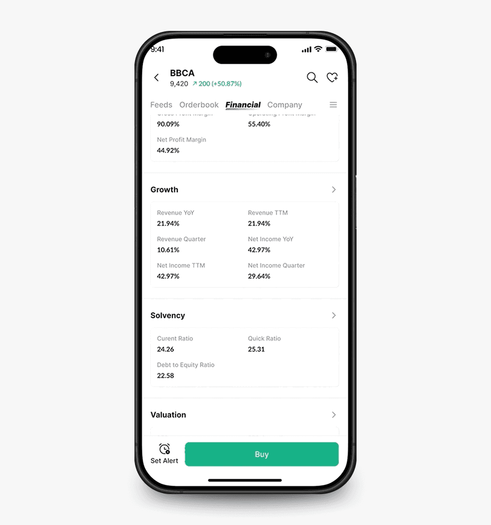 Financial tab displaying key financial data in Individual Stock interface