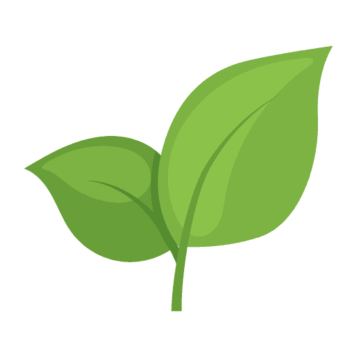 tea leaf icon