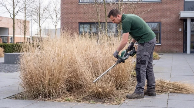 Man snoeit gras bij kantoor voor vacaturewebsite Herman de Vries.