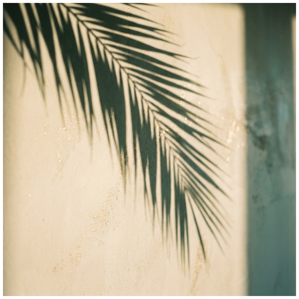 Palm Law Group on Instagram