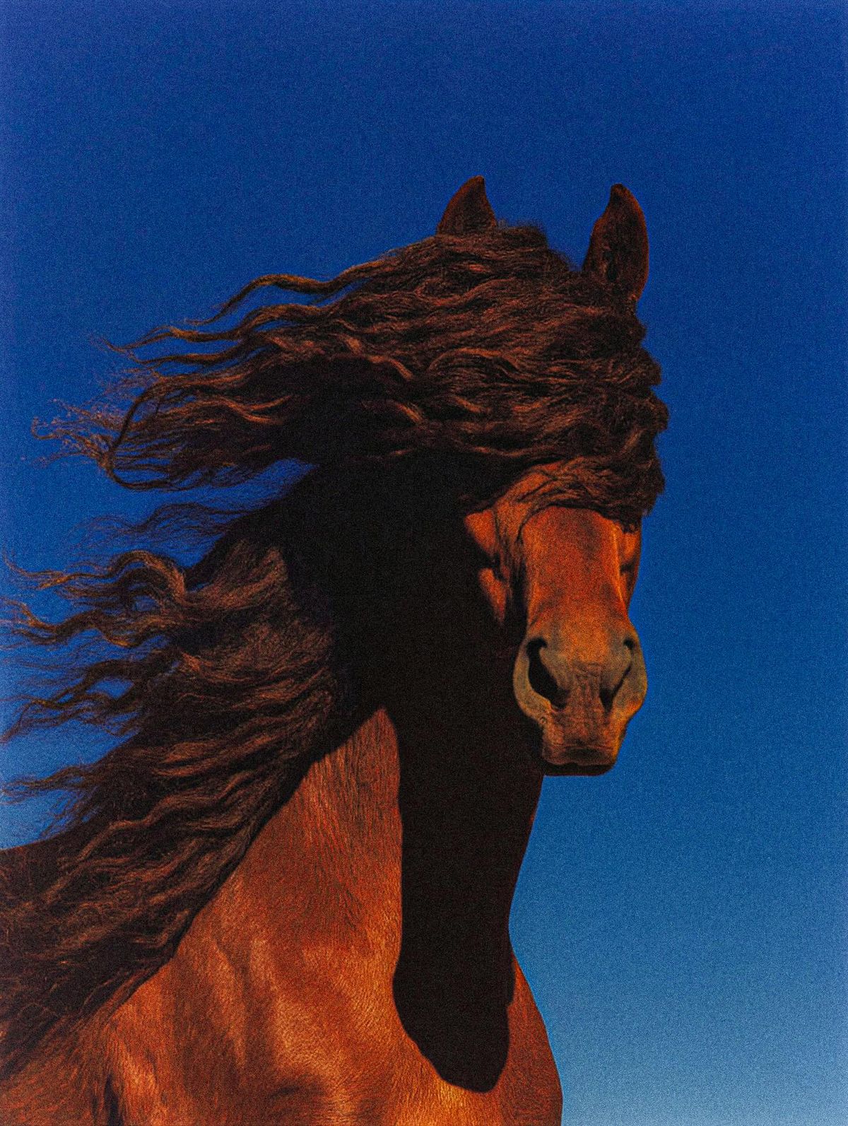 smulderstextiel_simone_jasper