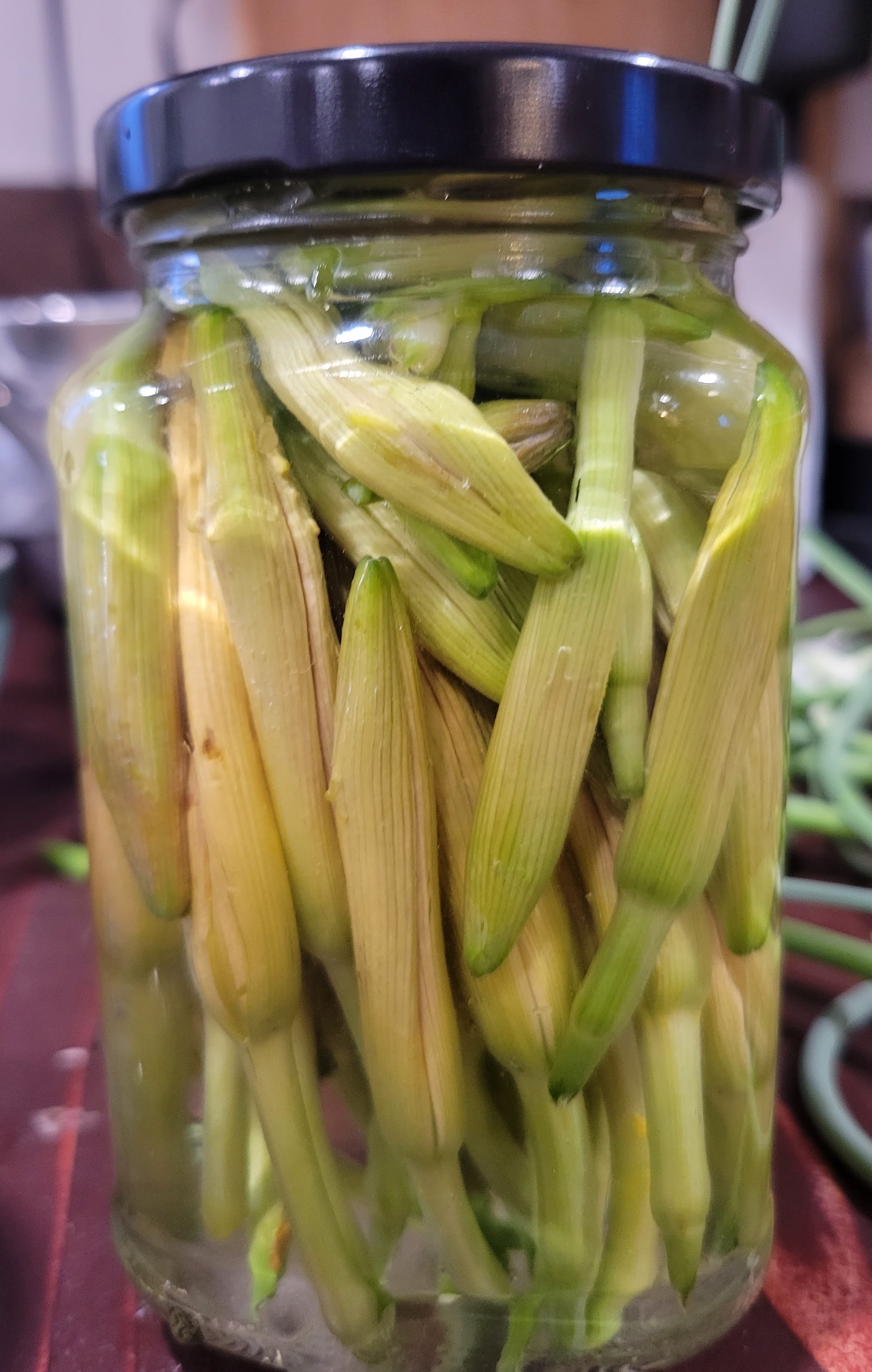 Group of students processing acorns together during a foraging class, representing shared learning and scholarship.