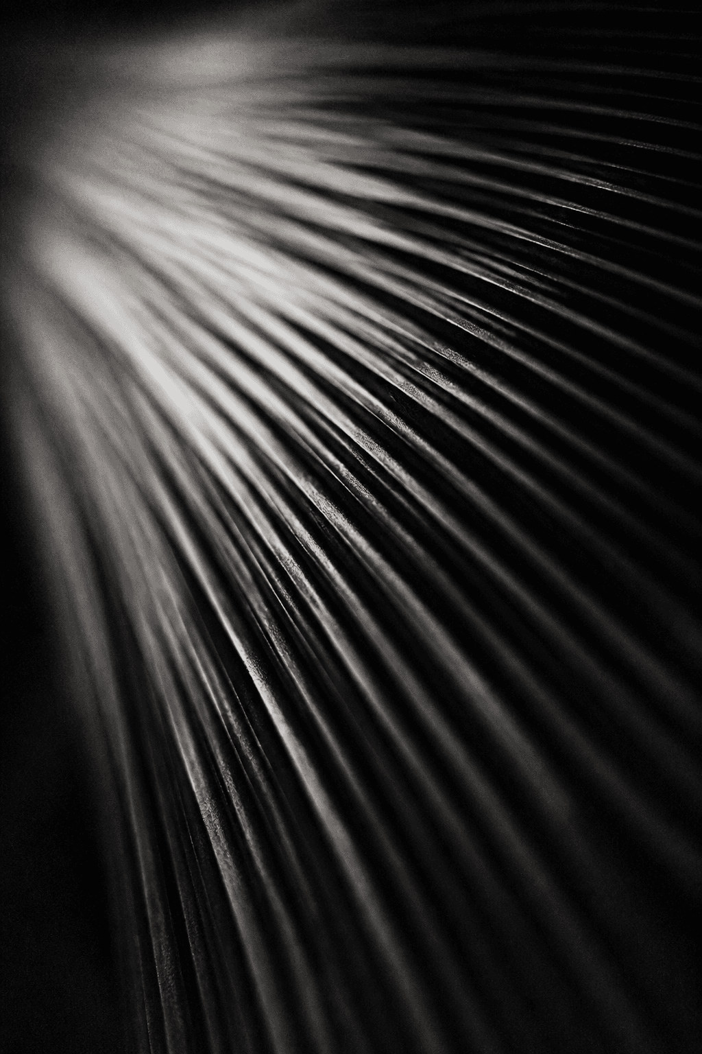 Fine ridges fanning out from a bright point, like light raking across a pleated surface