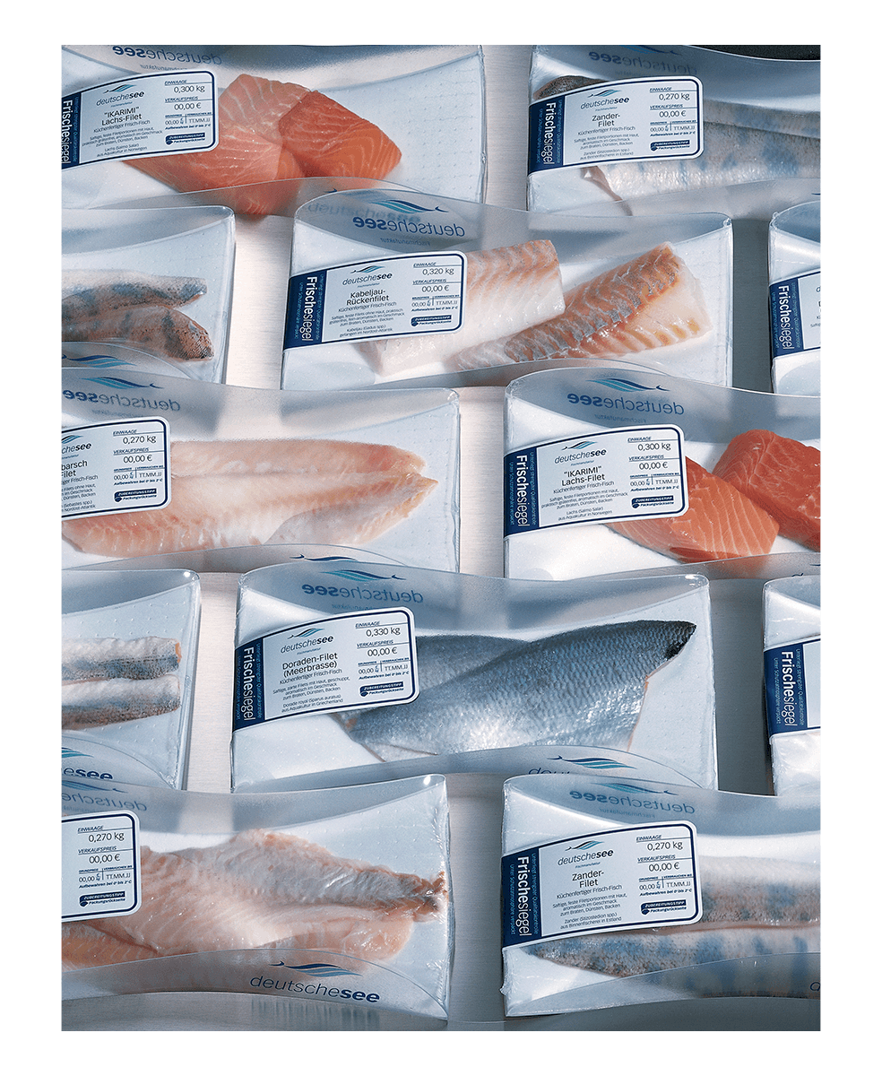Leitbild für die Fischkiste auf dem ein herausgeschnittenes Stück Meer zu sehen ist.