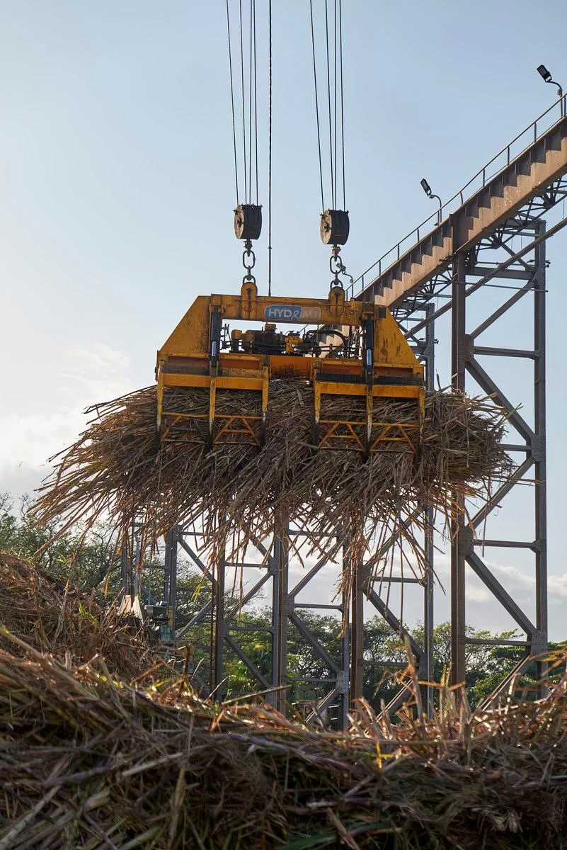 Mécanisation agricole à La Réunion : grappin de chargement de canne à sucre en gros plan