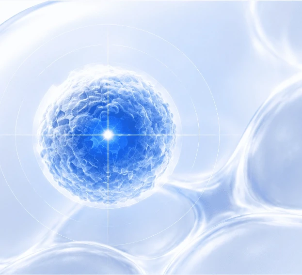 Image-guided biopsy