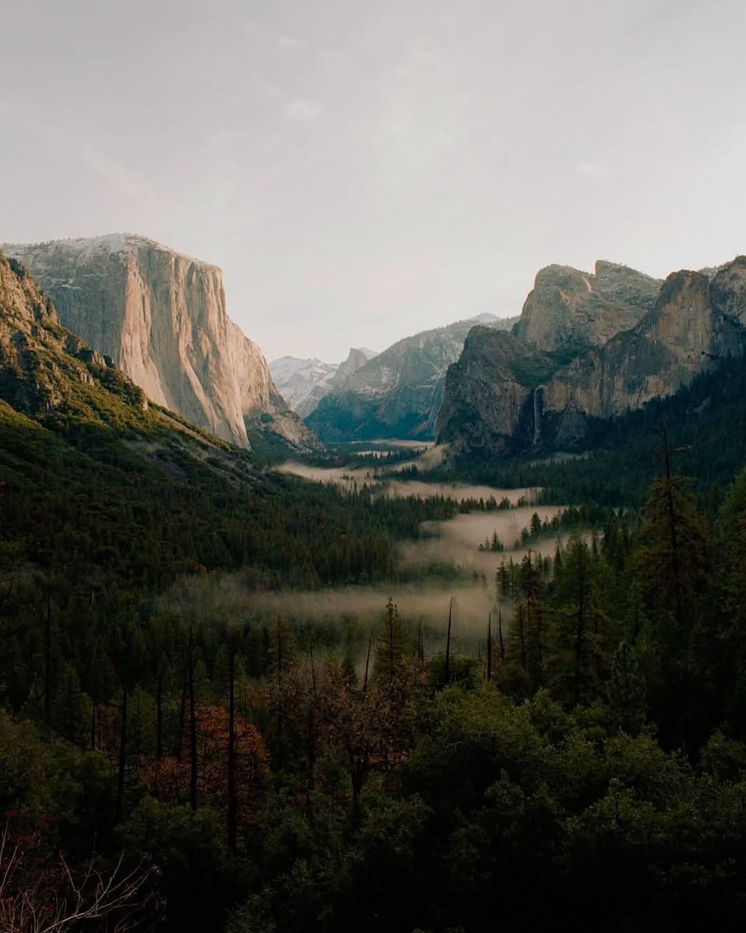 A moody mountain valley landscape with towering granite cliffs, dense pine forest, and low mist drifting through the trees under a pale overcast sky.