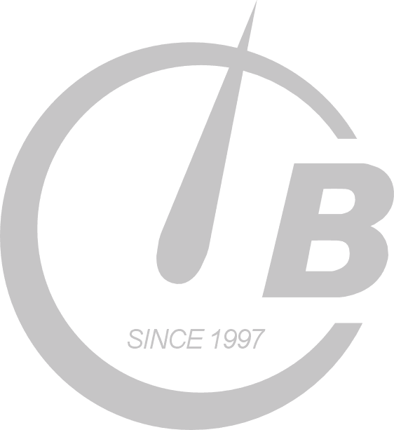 Logo Busse Computertechnik