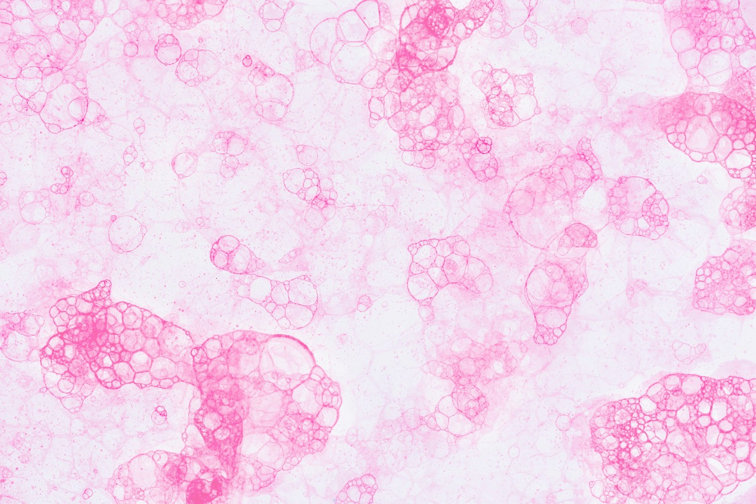 supplements for daily rituals