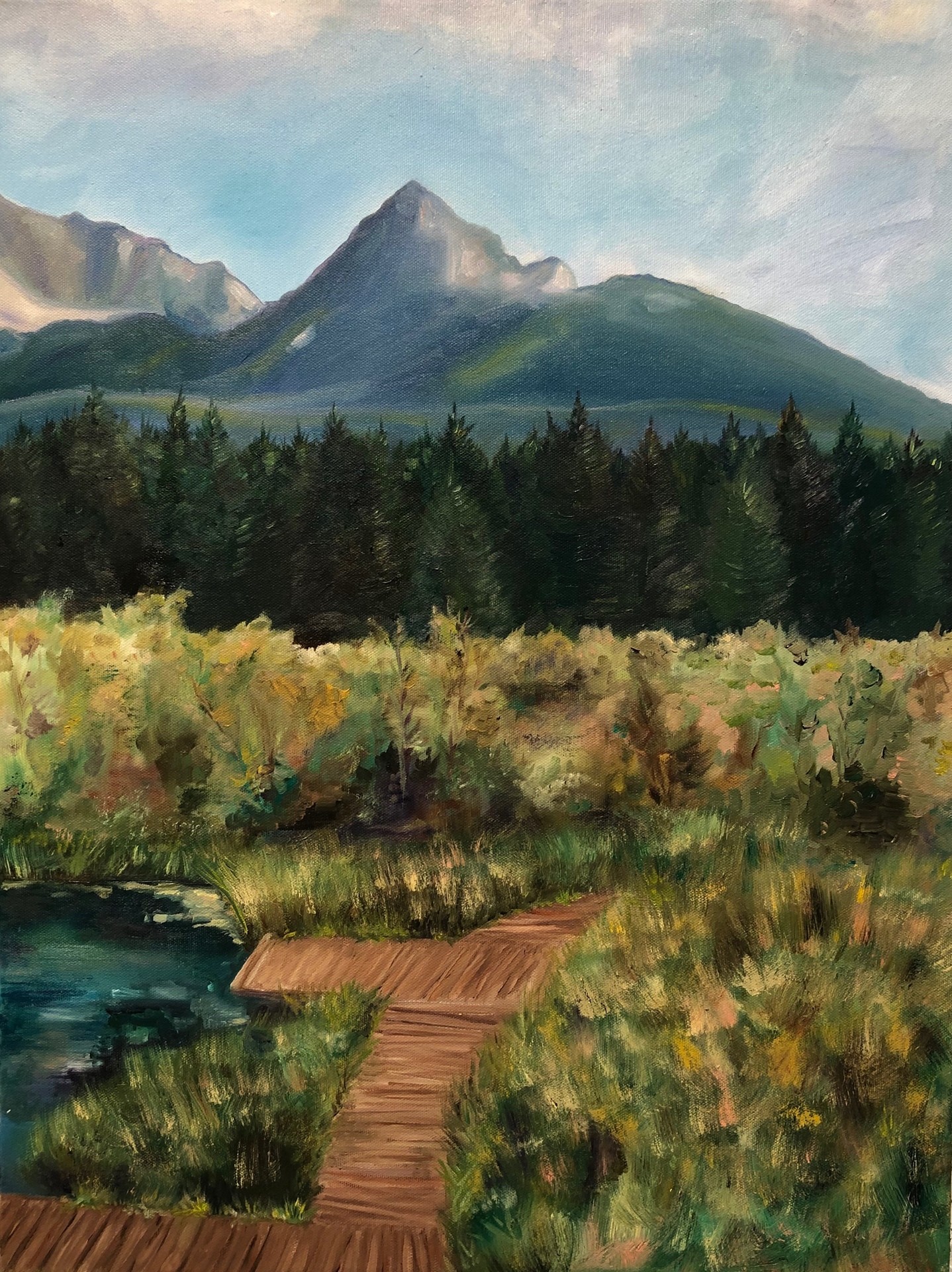 Zelenci 3
