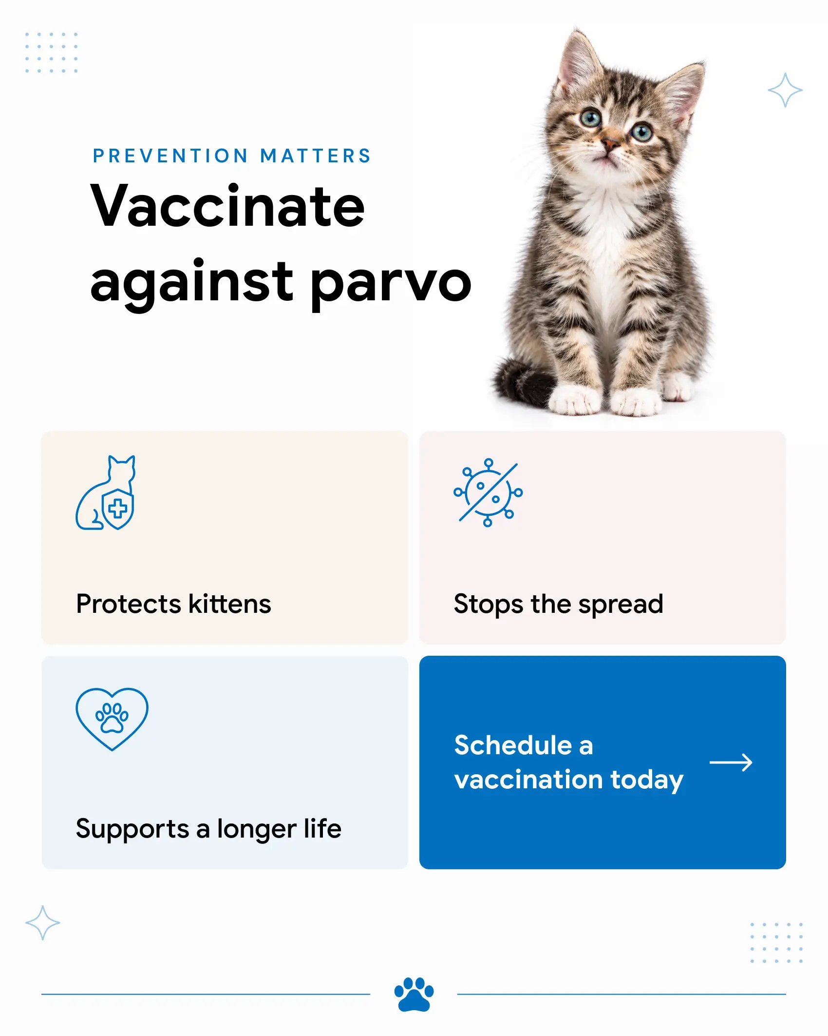 Why it's important to vaccinate your cat against parvo