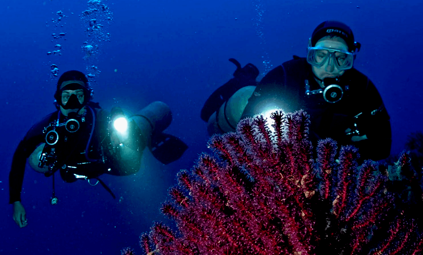 a woman scubas in the ocean with a camera