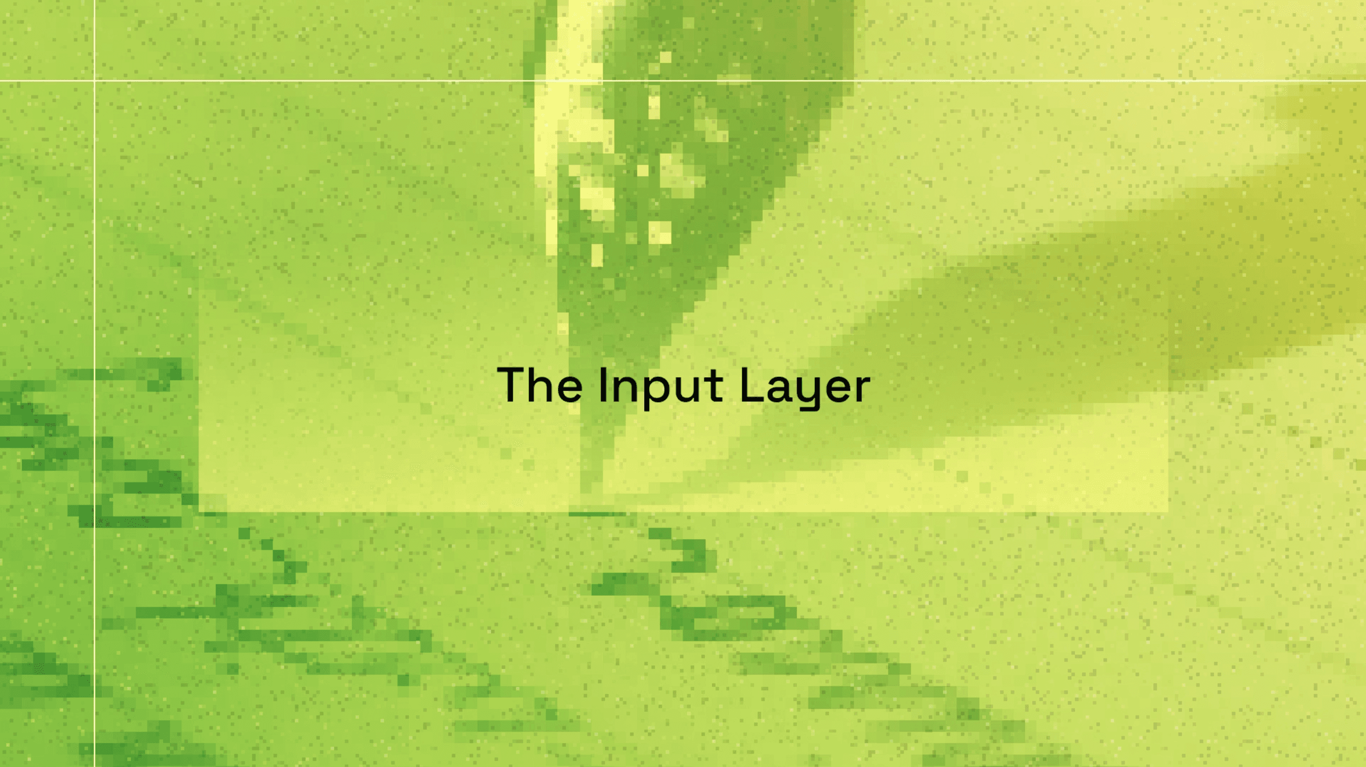 The Input Layer