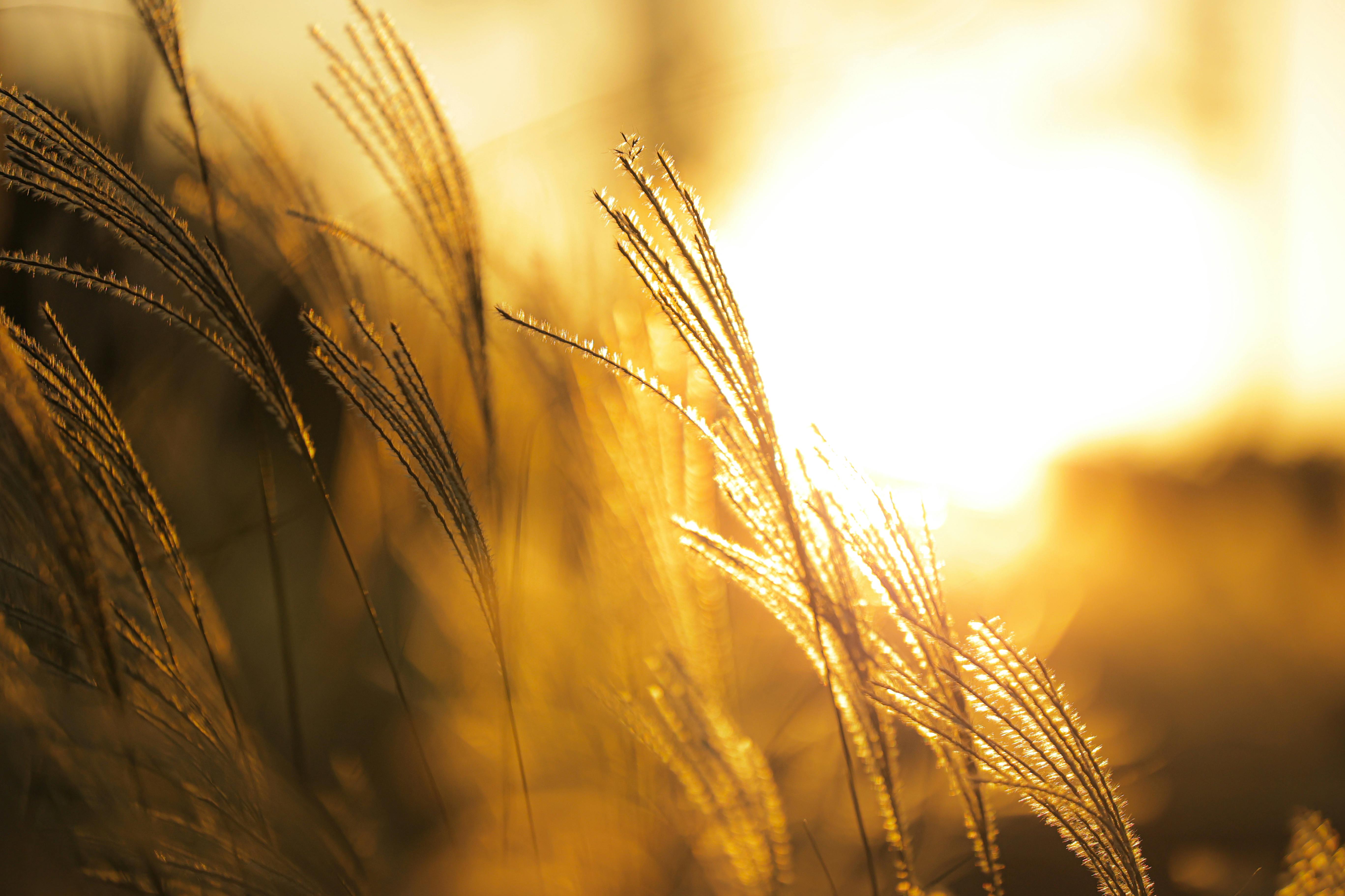 Landscape with soft sun light
