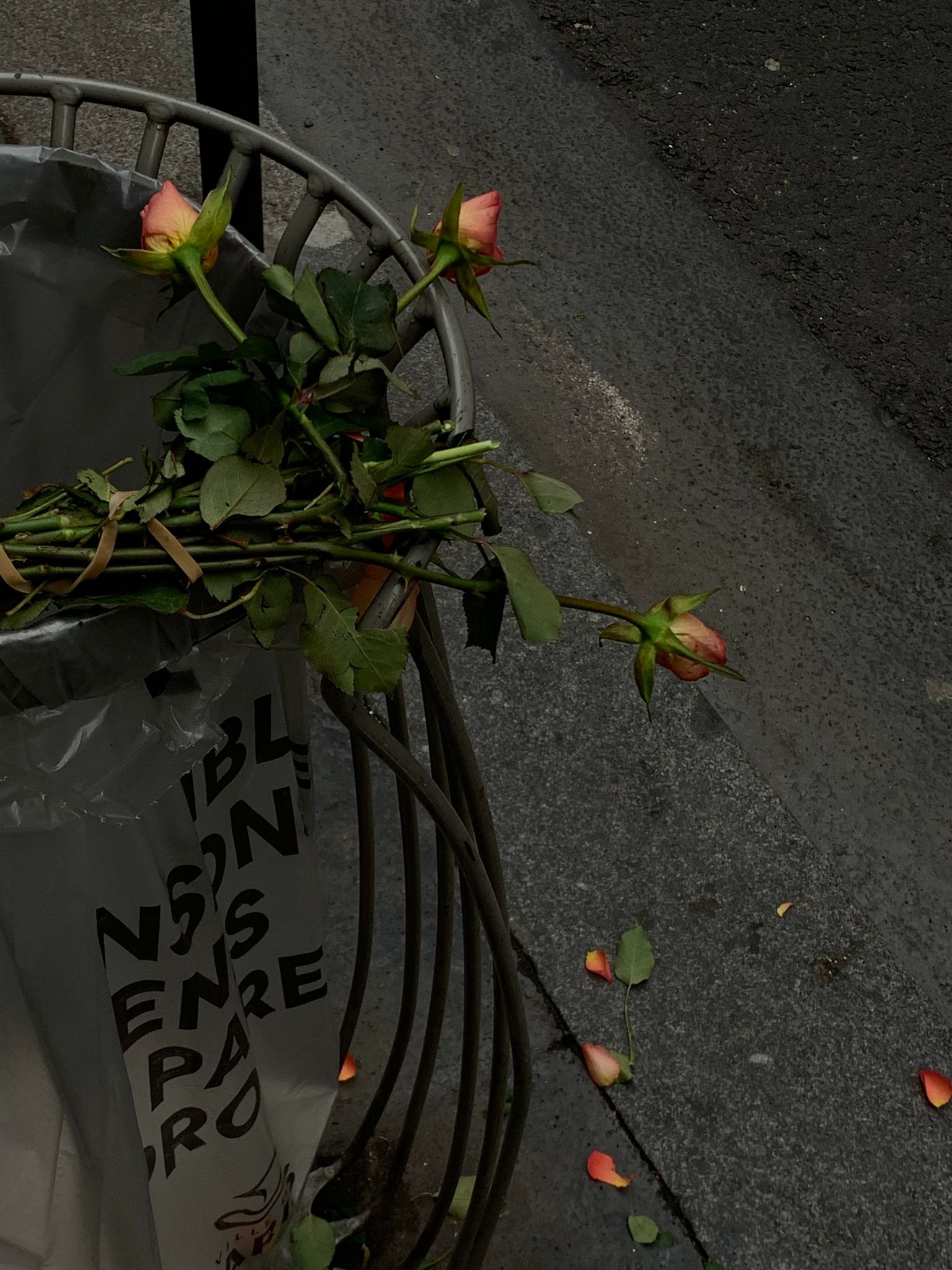 Zengo's progress tracking feature allows users to visualize their meditation journey, providing valuable insights and motivation for continuous growth.