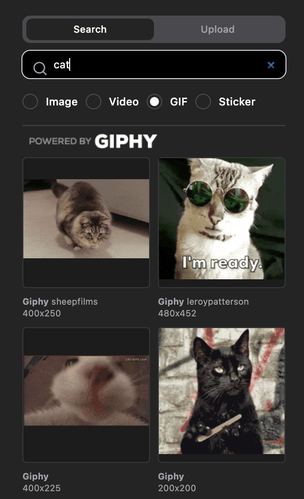 Screenshot of gif search result of cat in Cutback