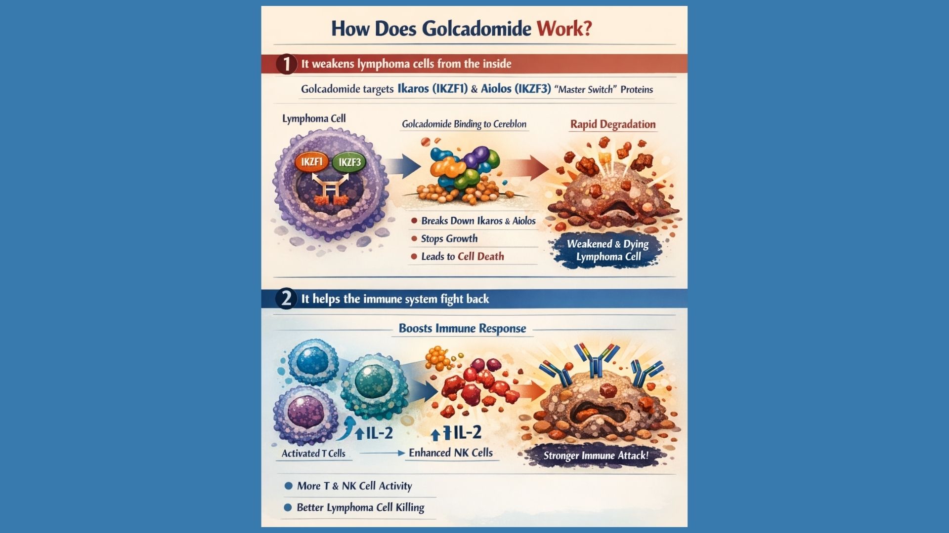 Golcadomide (GOLCA) oral CELMoD therapy targeting cereblon pathway in relapsed follicular lymphoma clinical trial