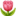 🌷