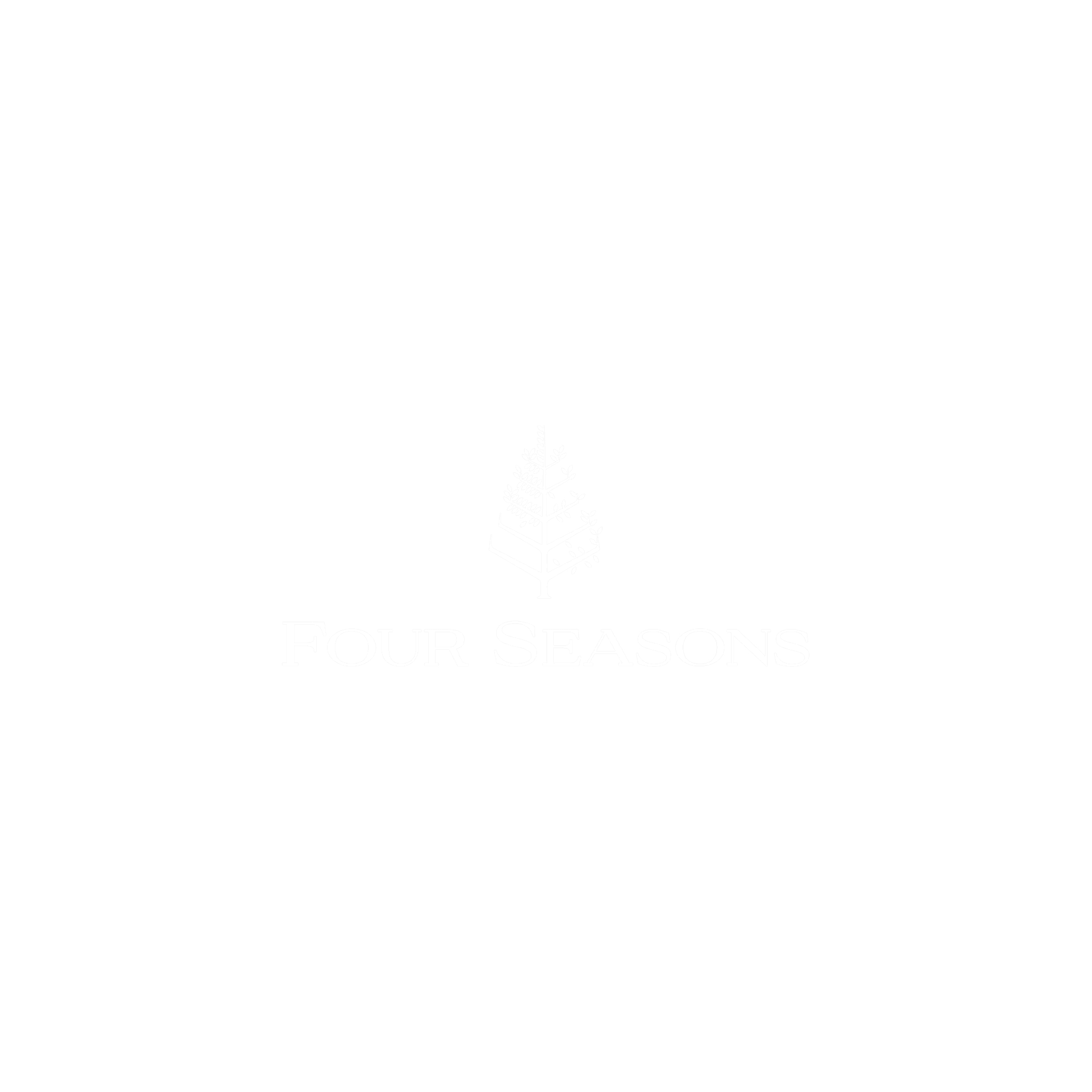 Logo featuring a plus sign and stylized text, conveying a sense of health and wellness.