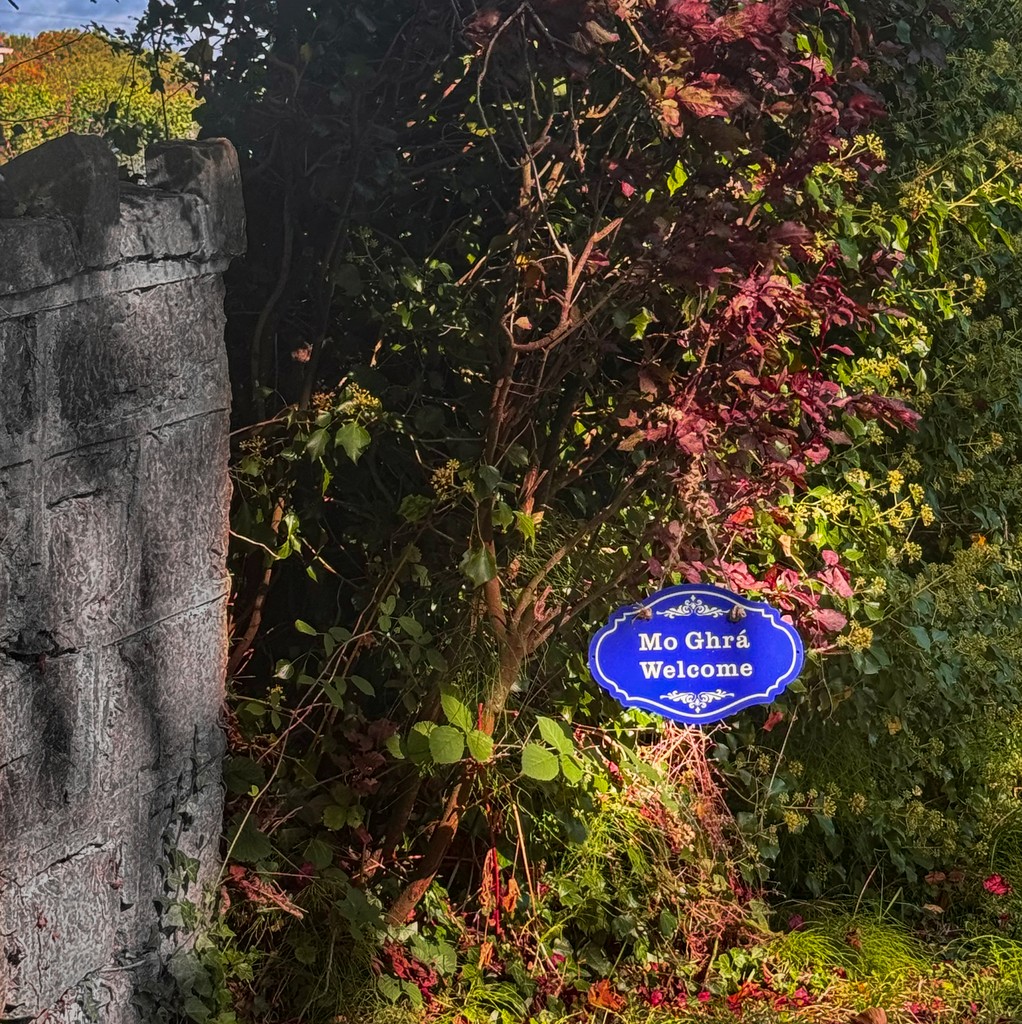 Mo Ghrá Ceremonies 2