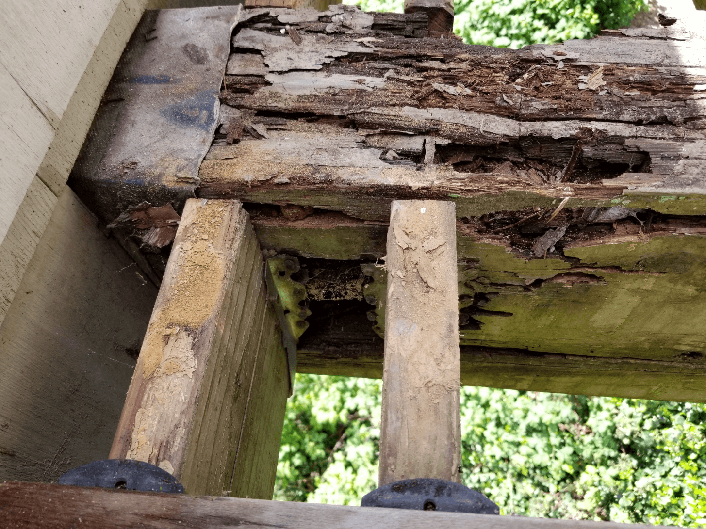 How to Repair Wood Rot and Replace Dry Rot Like A Pro | General Rot Repair