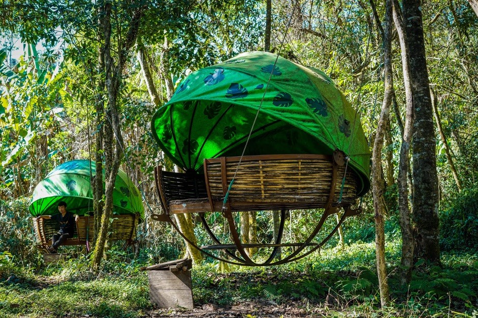 Two round, green suspended tent pods hanging among tropical trees.