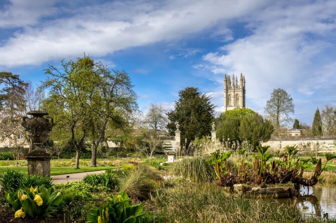 Visit the Oxford Botanic Garden