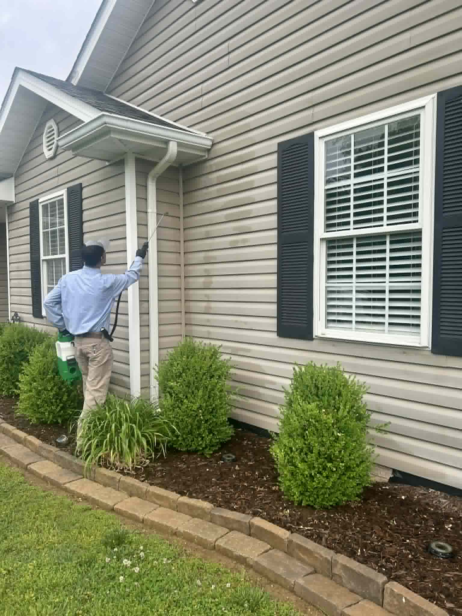 Pest Control Johnson City TN