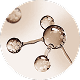CelluCaps™ Lico thumbnail