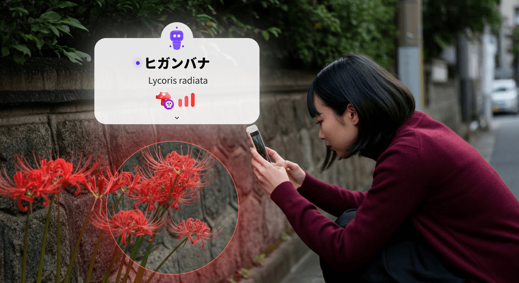 Boo AI Triage Chatbot