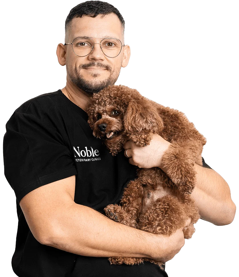 Dr. Rokas Proscevicius: Veterinary Surgeon